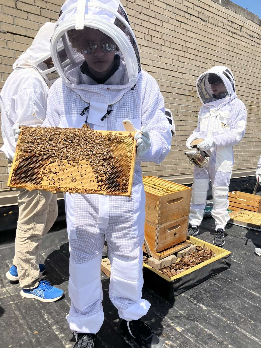 Students in beekeeping suits inspecting a hive frame